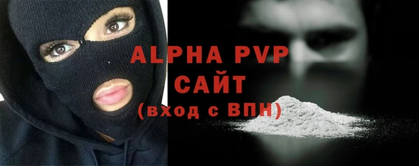 гашик Верея