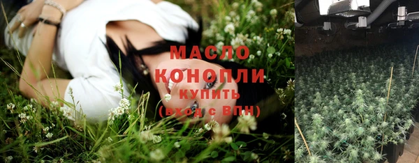 гашик Верея